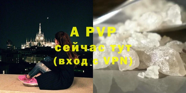 твердый Богородицк
