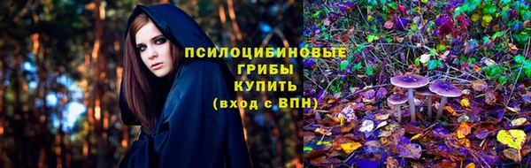 героин Богданович