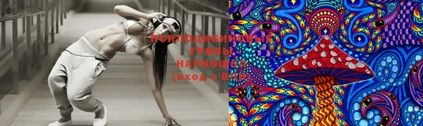 твердый Богородицк